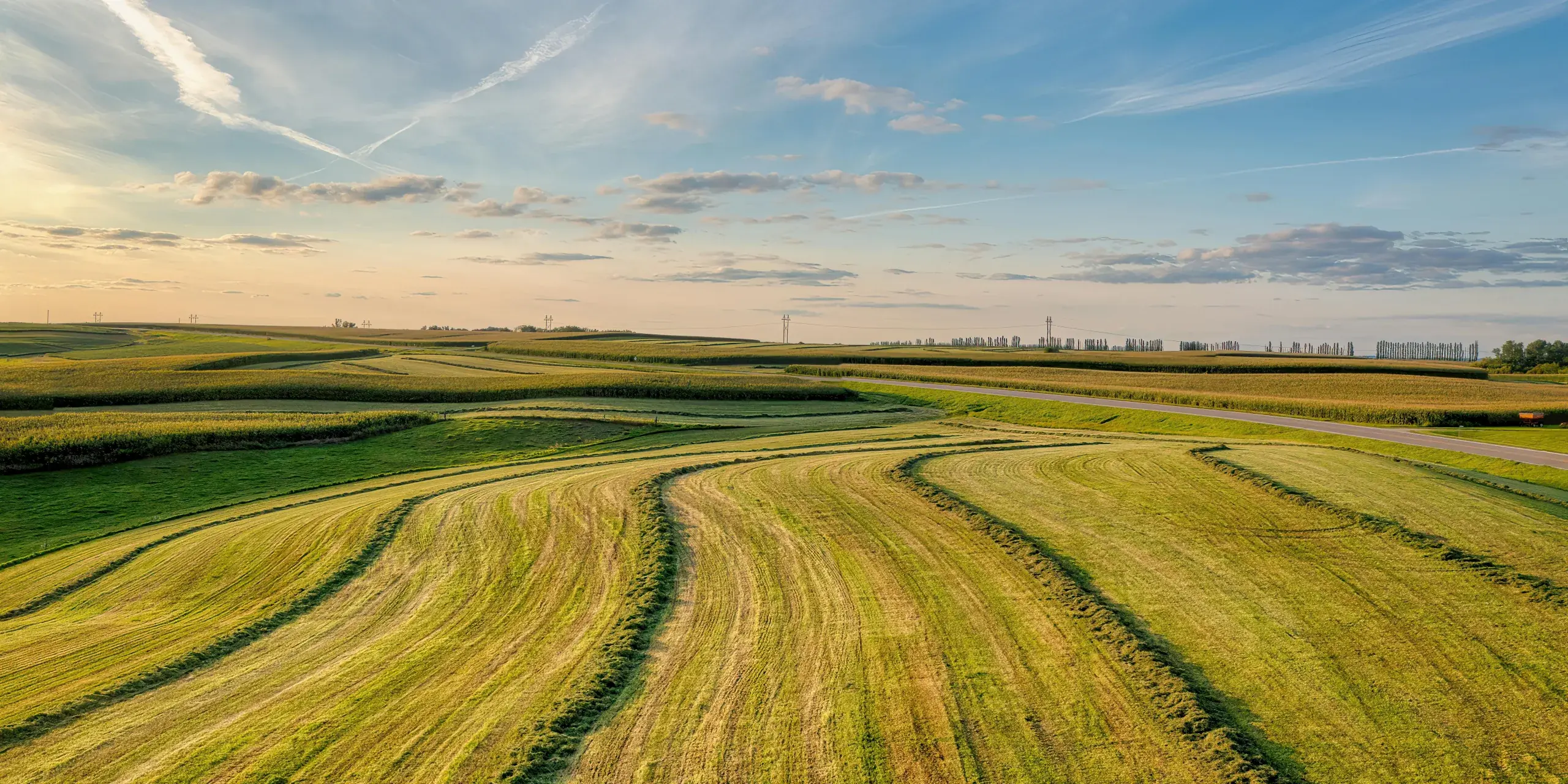 Open land at golden hour, with mown rows curving toward the horizon.